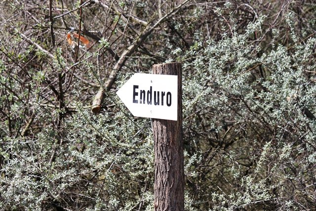 Enduro