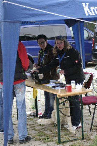 14. ADAC Moto-Cross "Am Windmühlenberg"