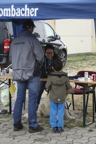 14. ADAC Moto-Cross "Am Windmühlenberg"